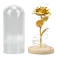thumbnail image 4 of Enchanted Rose Romantic Gifts, Glass Dome Lucky Dome Glass and Red Rose Beautiful Symbolism  for RV Decor for Valentine 's Day Gold Leaf Rose Golden,Gold Leaf Rose Red,Green Leaf, 4 of 8