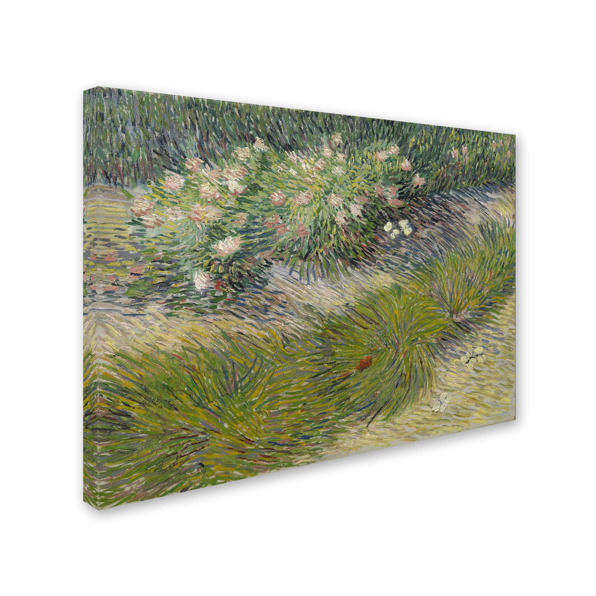 Trademark Fine Art 'Grass And Butterflies' Canvas Art by Van Gogh