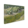 thumbnail image 2 of Trademark Fine Art 'Grass And Butterflies' Canvas Art by Van Gogh, 2 of 3