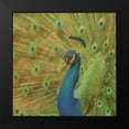 thumbnail image 2 of Greene, Taylor 20x20 Black Modern Framed Museum Art Print Titled - Peacock Love, 2 of 5