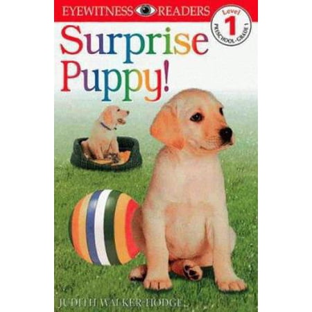Pre-Owned DK Readers L1: Surprise Puppy (Paperback) 0789436248 9780789436245