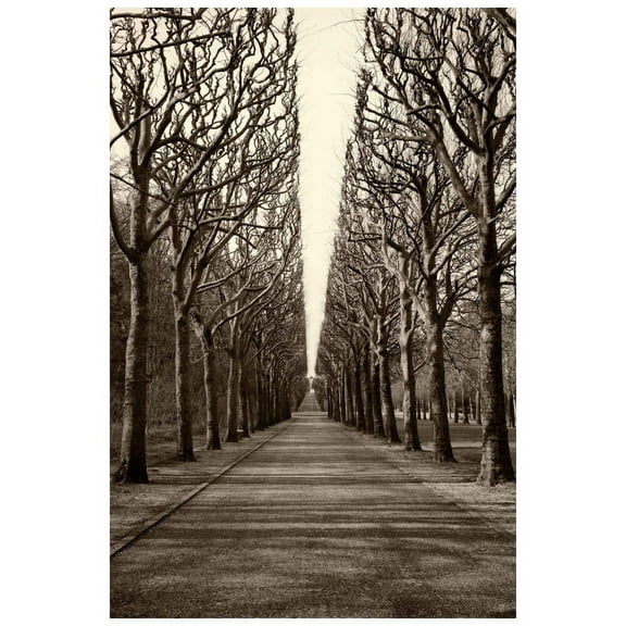 "Tree Alley" Painting Print on Wrapped Canvas