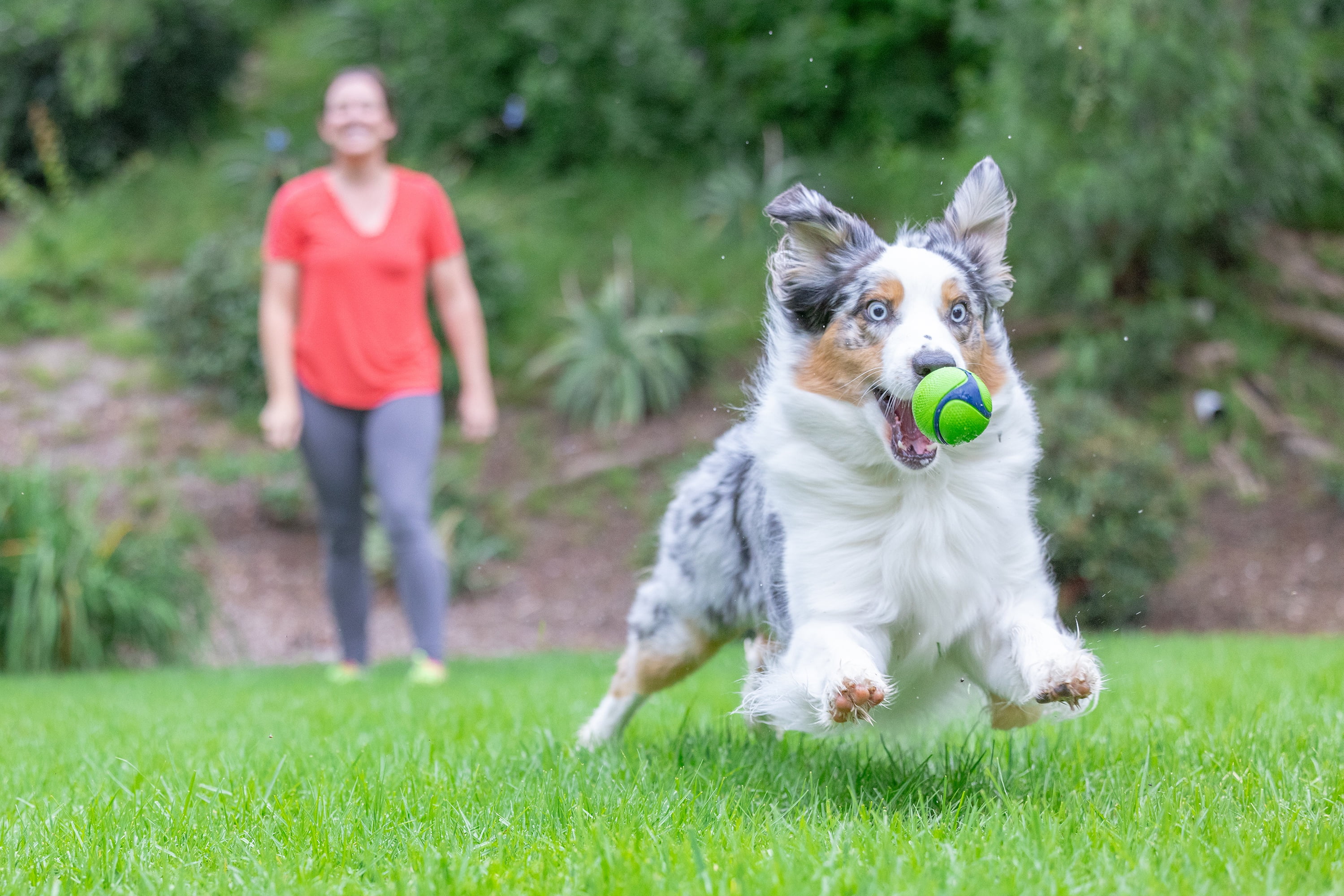 Chuckit! Sniff Fetch Ball Durable High Bounce Rubber Dog Toy, Peanut Butter & Bacon Scented, Medium 2.5" for Dogs 20 to 60 lb, Blue, Green & Blue, Pack of 2