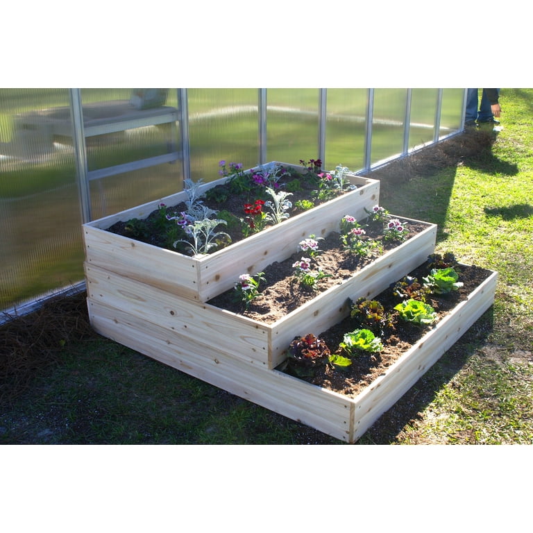 grow your own plant kits Grow your own Jungle Houseplant Seed Collection
