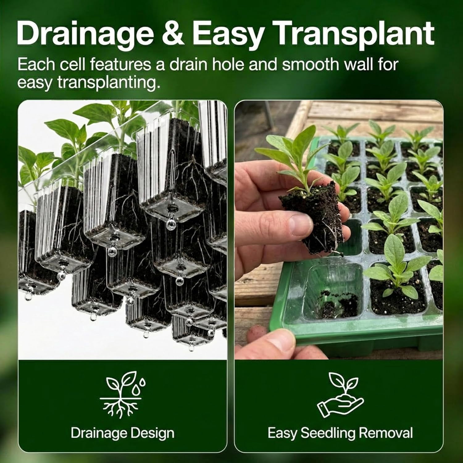5 Pack BPA Free Seed Starter Tray Kit, 40 Cell Reusable Seedling Trays with Humidity Vented Domes and Base