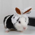 thumbnail image 5 of Gorro de orejas de conejo para mascota, conejillo de indias, gatito, cálido gorro de felpa, diadema ajustable con lindas orejas de conejo - Verde Hy, 5 of 5