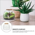 thumbnail image 2 of 1 Set of Glass Terrarium Container DIY Ecological Plant Bottle Glass Plant Terrarium, 2 of 8