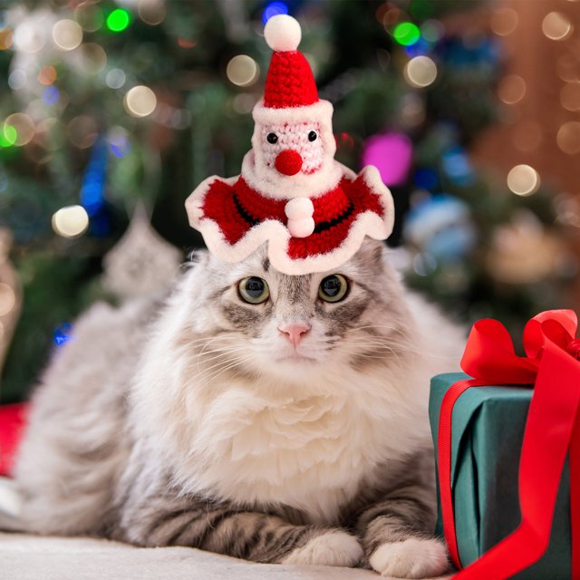 Ropa para Mascotas XWSHYW para Perros Grandes Árbol de Navidad Muñeco de Nieve Sombrero Mediano Shiba Inu