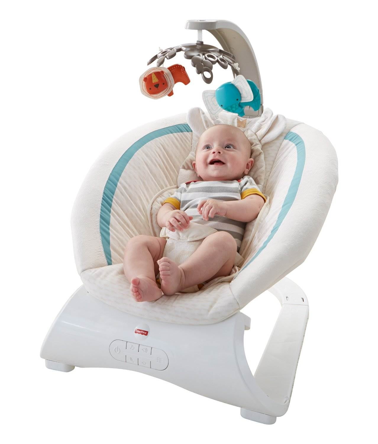 Fisher-Price Deluxe Bouncer, Soothing 