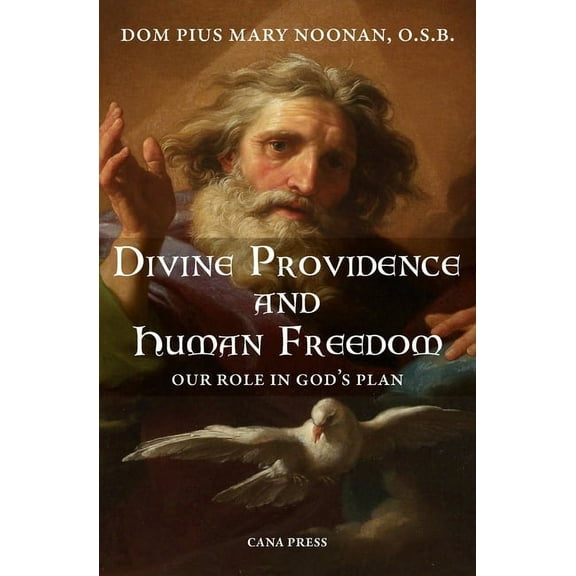 Divine Providence And Human Freedom: Our Role In God's Plan, (Paperback)