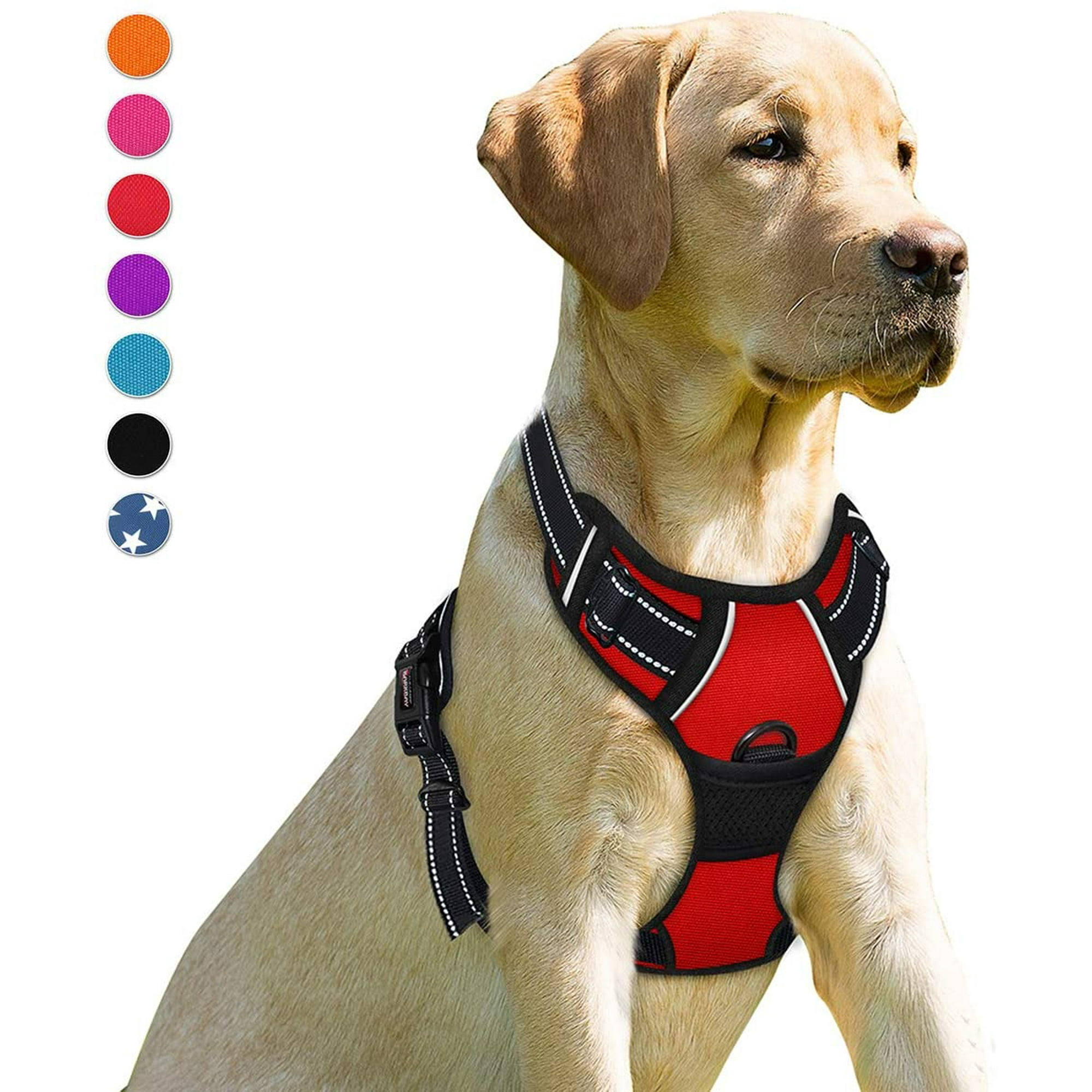 Dog harness with leash in front hotsell
