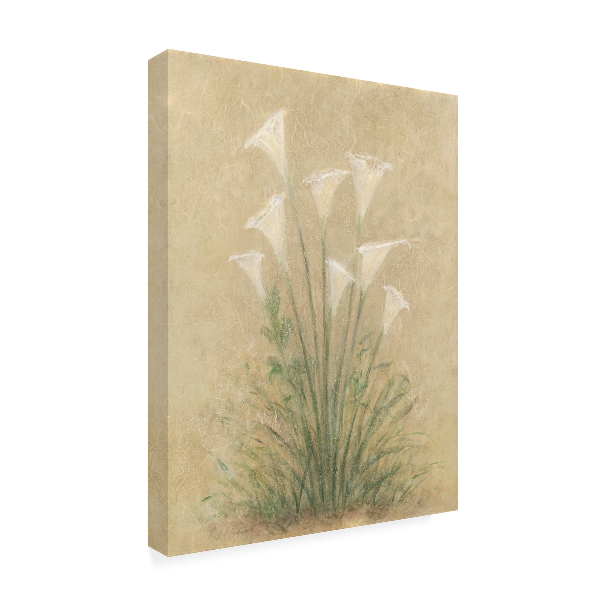 Trademark Fine Art 'White Lilies On Parchment' Canvas Art by Debra Lake