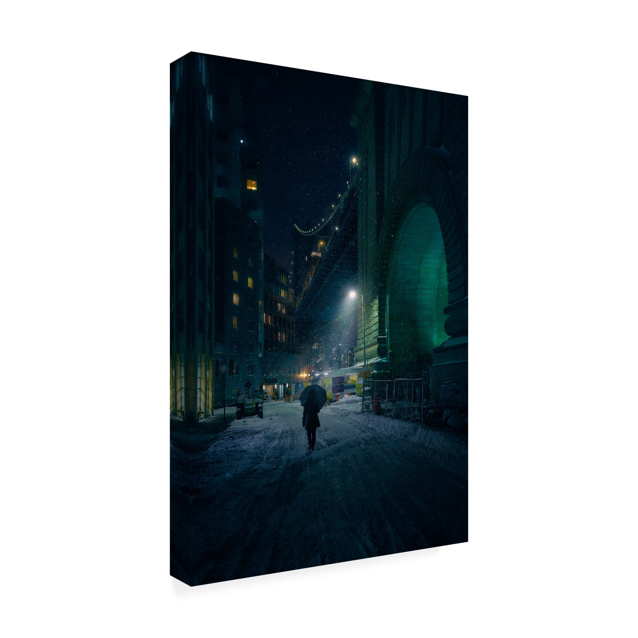 Trademark Fine Art Javier de la Under The Bridge Canvas Wall Art