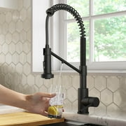 Kraus Bolden 2-in-1 Commercial Style Pull-Down Single Handle Water Filter