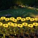 thumbnail image 3 of Paquete de 2 luces solares de estaca para jardín, luces de girasol para exteriores, luces LED alimentadas por energía solar para decoración de caminos de jardín de césped, amarillo, 3 of 5