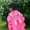 Pink, variant on Product Category Girls Rain Wear Raincoat Hooded Cartoon Toddler Lightweight Jacket for Rainy Day Use