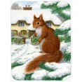 thumbnail image 1 of Carolines Treasures ASA2014LCB Red Squirrel & Cottage Glass Cutting Board- Large, 1 of 1