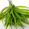 thumbnail image 3 of Sinhoon 4pcs Artificial Fake Grass Plants Faux Fake Grasses Plastic Plant Greenery (Green), 3 of 6