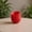 Red, variant on Zeiwohndc 3D Printed Rose Shape Planter Pot Vases For Succulents Herbs Or Small Flowers