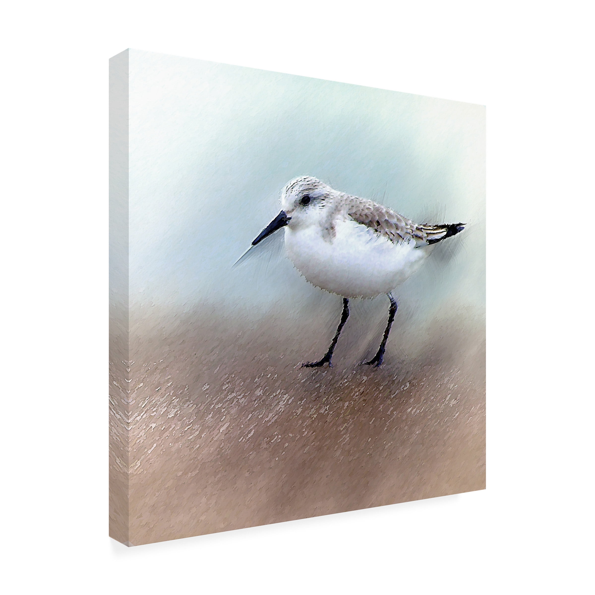 David Manlove 'Sand Piper B' Canvas Art