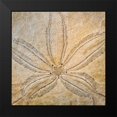 thumbnail image 2 of Mahan, Kathy 12x12 Black Modern Framed Museum Art Print Titled - Sand Dollar Design, 2 of 5