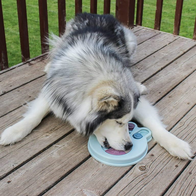 Dog Puzzle Toy Food and Treat Dispenser Blue Paw Shape Dog Food