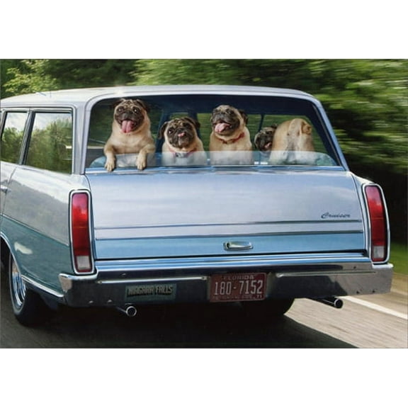 Avanti Press Pug Dogs In Station Wagon Humorous / Funny Birthday Card