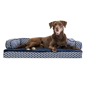 comfy couch dog bed