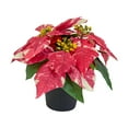 thumbnail image 2 of deevoka Christmas Artificial Poinsettia Plant Artificial Bonsai Desktop Ornament Decorative Artificial Plants for Winter Home Holiday A, 2 of 9