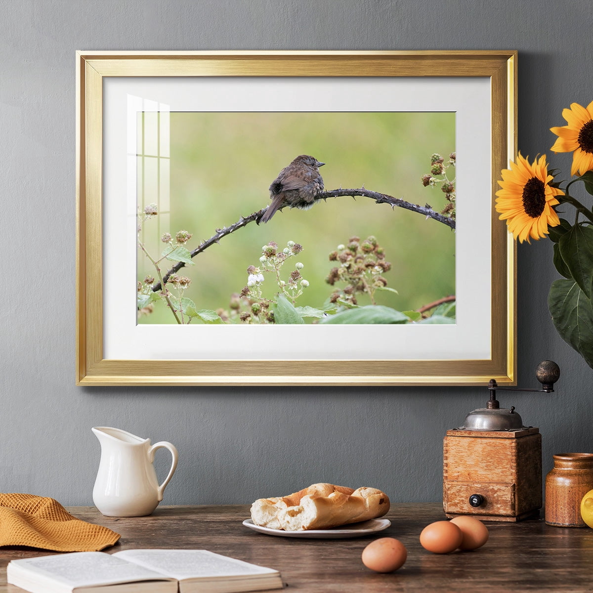 Resting Sparrow Premium Framed Print - Ready to Hang