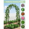 thumbnail image 5 of Nana Guard Garden Arch Trellis, Metal Garden Arbor with 2 Adjustable Sizes 7.9x4.6ft or 7.6x6.4ft for Wedding and Climbing Plants, Black, 5 of 7