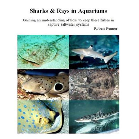 Pre-Owned Sharks & Rays in Aquariums : Gaining an Understanding of How to Keep These Fishes in Captive Saltwater Systems