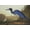Unframed, variant on Art.com Blue Crane or Heron Art Print by John James Audubon, Brown Frame Wall Art, 44" x 32"