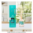 thumbnail image 4 of Difusor Mainstays Surf & Coco 80 Ml, 4 of 4