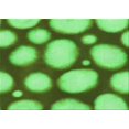 thumbnail image 1 of Ahgly Company Machine Washable Indoor Rectangle Transitional Emerald Green Area Rugs, 2' x 3', 1 of 7