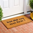 thumbnail image 2 of Calloway Mills 108713048 30 x 48 in. Did you Text First Rectangular Doormat, Multi Color, 2 of 4