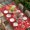 Deep Red, variant on Valentine's Day Table Cloths for 6 Foot Rectangle Tables, Red Love Heart Balloons Fantasy Watercolor Patio Waterproof Elastic Fitted Tablecloths, Washable Rectangular Table Cover for Camping