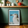 thumbnail image 6 of Skyward Gaze - Athens Greece Photography Bird Wildlife Seaside Coastal Nature Ocean Minimalist Black Framed Wall Art Print 5 x 7 inches, 6 of 9