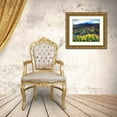 thumbnail image 3 of Talbot Frank, Christopher 31x26 Gold Ornate Wood Framed with Double Matting Museum Art Print Titled - California, Sierra Nevada Flowers in the Sierras, 3 of 4