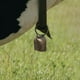 thumbnail image 2 of 2 unidades de cascabeles colgantes gruesos para pastoreo, mascotas y animales de granja (Ovejas, Caballos, Vacas) (Bronce, Grande, 62 g), 2 of 7