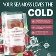 thumbnail image 2 of TrueSeaMoss Wildcrafted Irish Sea Moss Gel – Cherry, 1 Pack, Natural Seamoss – 16 fl oz Flavored Seaweed Snack, 2 of 8