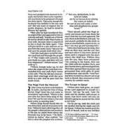 Niv, New Testament with Psalms and Proverbs, Pocket-Sized, Paperback, Burgundy, Comfort Print, (Paperback)