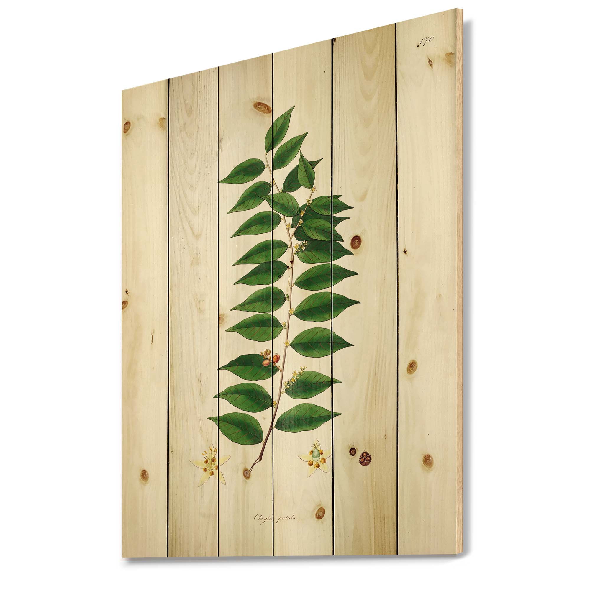 Designart 'Ancient London Plants VI' Farmhouse Print on Natural Pine Wood