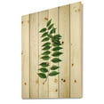 thumbnail image 2 of Designart 'Ancient London Plants VI' Farmhouse Print on Natural Pine Wood, 2 of 5