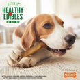thumbnail image 4 of Nylabone Friandises pour Chiens Comestibles Sains Saveur Bacon Longue Durée, 12 Unités, 4 of 5