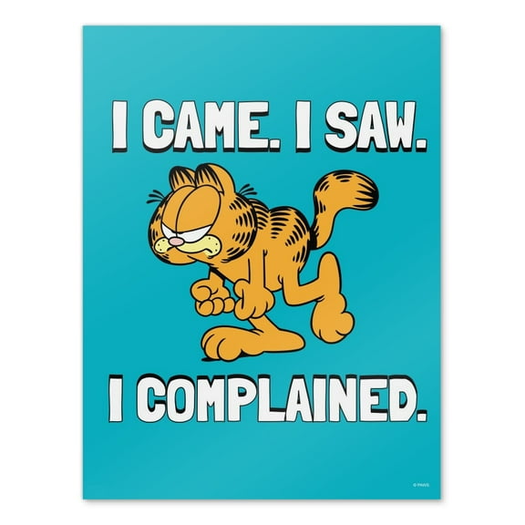 Garfield I Came. I Saw. I Complained. Wall Art Picture Paper Poster Décor Home Decoration