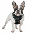 thumbnail image 6 of Filbert Dog Harness Large Sized Dog, Step-in Reflective Harness Large Sized Dogs, Mesh Vest, Adjustable, Soft, High Reflectivity, Breathable Fabric, Heavy Duty, Black, 6 of 7
