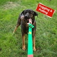 thumbnail image 4 of Juguete para perros LOOBANI Bungee Tug que cuelga de un árbol verde, 4 of 6