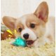 thumbnail image 5 of Cepillo de dientes para perros, cuidado dental para perros, cepillo de dientes para perros, juguete para masticar para perros, elimina depósitos y sarro, ayuda a limpiar los dientes de su perro (azul) ER, 5 of 5