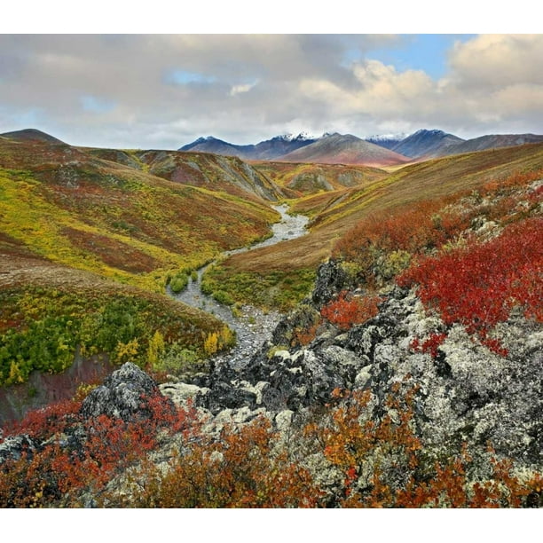 River flowing through tundra, Ogilvie Mountains, Tombstone Territorial ...